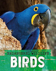 Endangered Wildlife: Rescuing Birds 