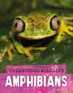 Endangered Wildlife: Rescuing Amphibians 