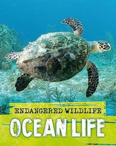 Endangered Wildlife: Rescuing Ocean Life 