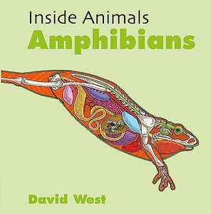 Inside Animals: Amphibians 