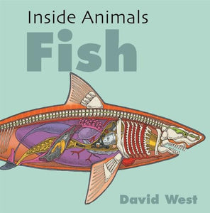 Inside Animals: Fish 