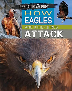 Predator vs Prey: How Eagles and other Birds Attack 