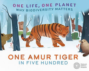 One Life, One Planet: One Amur Tiger in Five Hundred 