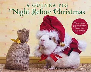 A Guinea Pig Night Before Christmas 