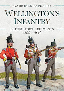 Wellington's Infantry 