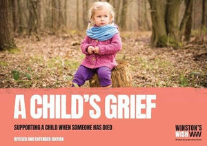 A Child's Grief 