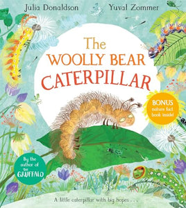 The Woolly Bear Caterpillar 