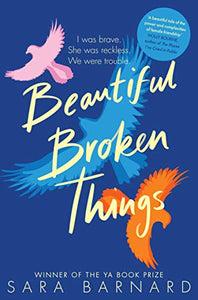 Beautiful Broken Things 