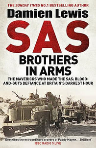 SAS Brothers in Arms 