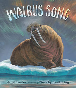 Walrus Song 