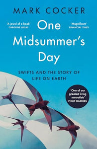 One Midsummer's Day 