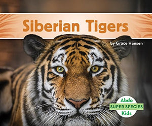 Siberian Tigers 