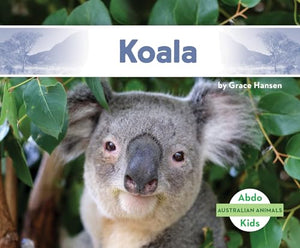 Koala 