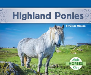 Highland Ponies 