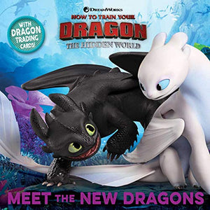 Meet the New Dragons 