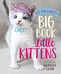 Kitten Lady's Big Book of Little Kittens 