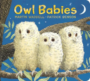 Owl Babies 