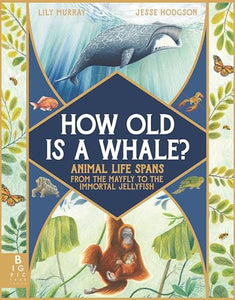 How Old Is a Whale? 