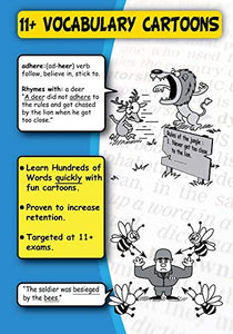 11+ Vocabulary Cartoons 