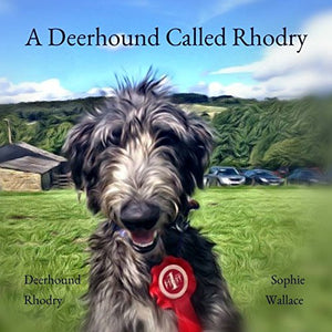 A Deerhound Called Rhodry 