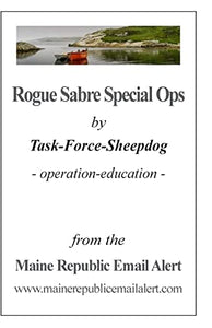 Rogue Sabre Special Ops 