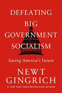 Defeating Big Government Socialism 