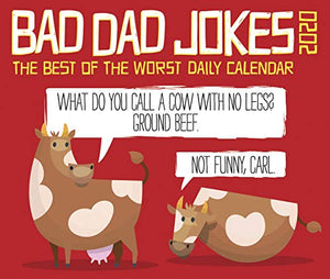Bad Dad Jokes 2020 Box Calendar 