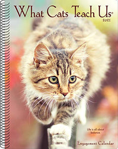 What Cats Teach Us 2021 Engagement Calendar 