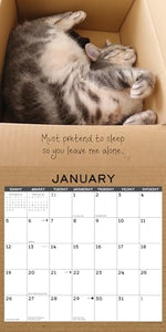 Cat in a Box 2025 12 X 12 Wall Calendar 