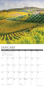 Vineyards 2025 12 X 12 Wall Calendar 