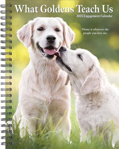 What Goldens Teach Us 2025 6.5 X 8.5 Engagement Calendar 