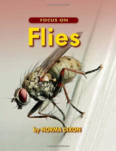 Focus on Flies 