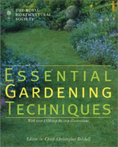 Essential Gardening Techniques 