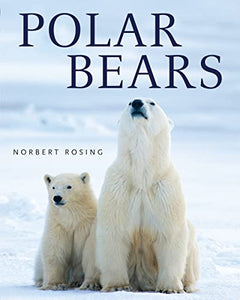 Polar Bears 