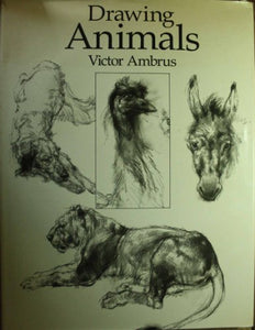 Drawing Animals 