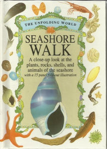 Seashore Walk 