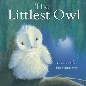 The Littlest Owl 