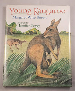 Young Kangaroo 