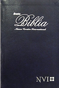 Santa Biblia--NVI 