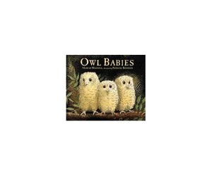 Owl Babies 