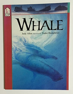 Whale 