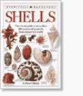 Shells 