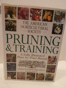 Pruning & Training 