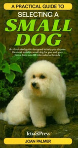 Practical Guide to Selecting a Small Dog 