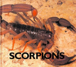 Scorpions 