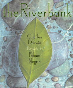 The Riverbank 