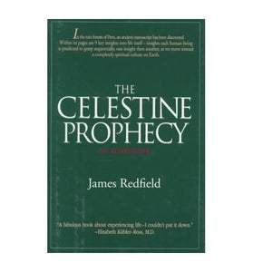 The Celestine Prophecy: an Adventure 