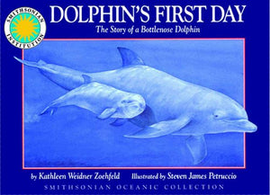 Dolphin's First Day 