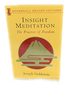 Insight Meditation 