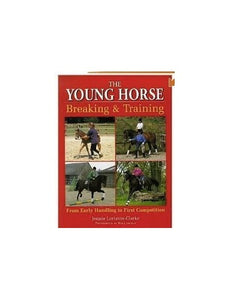 The Young Horse 